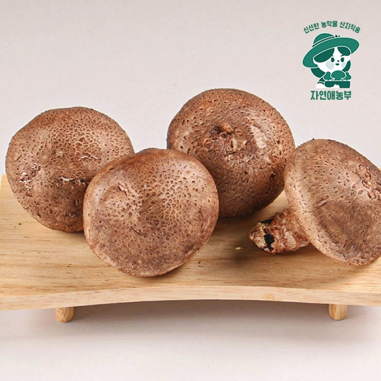 국내산 무농약 못난이 실속 생표고버섯 1kg, 8kg
